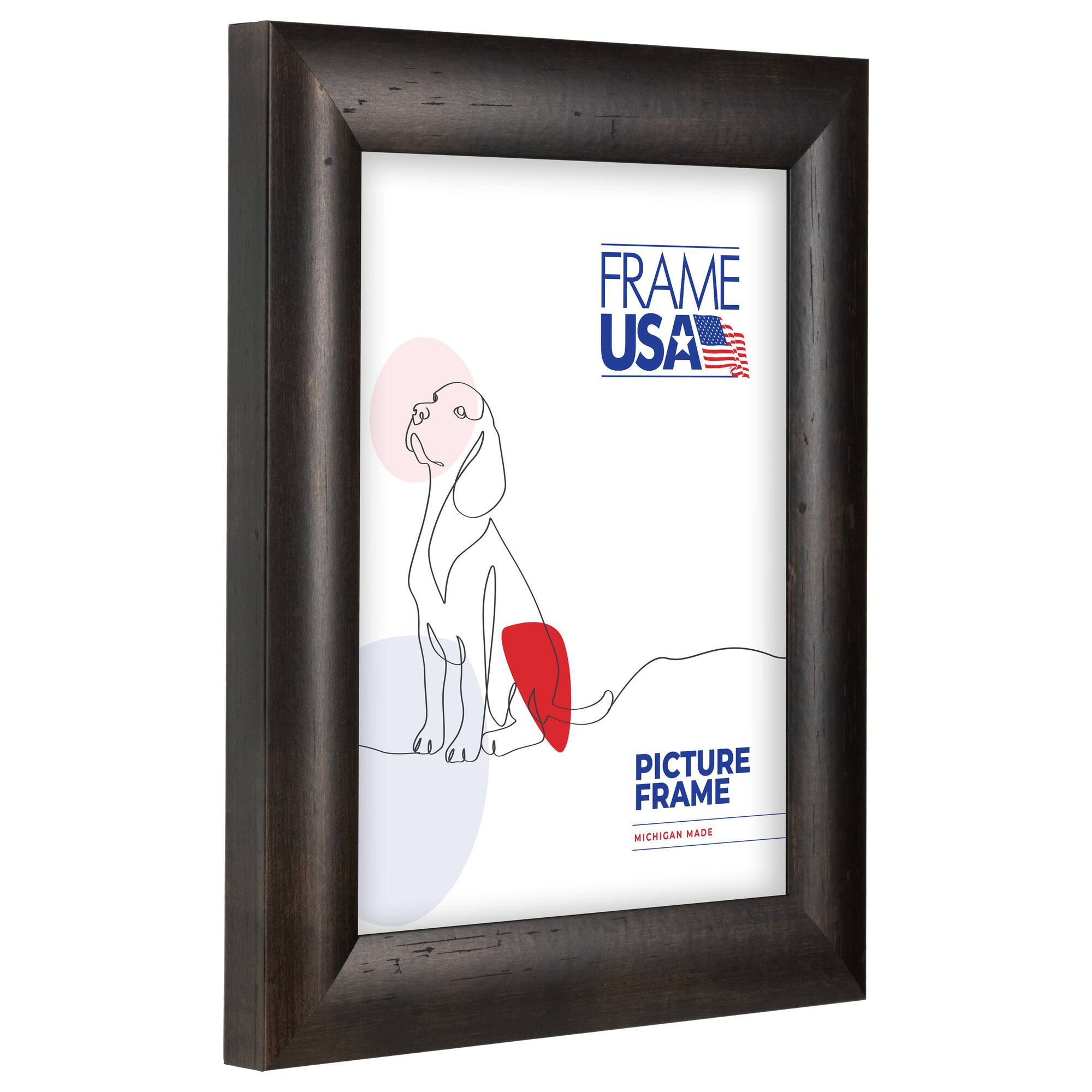Frame USA Café Rounded Espresso Single Image Picture Frame with Mat